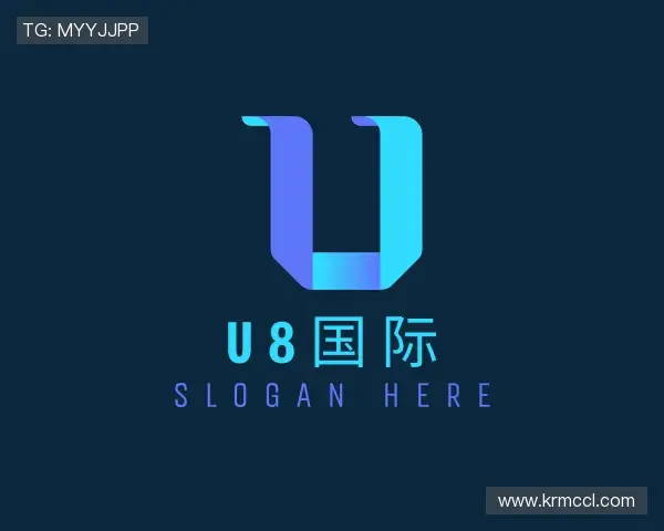 了解U8国际集团